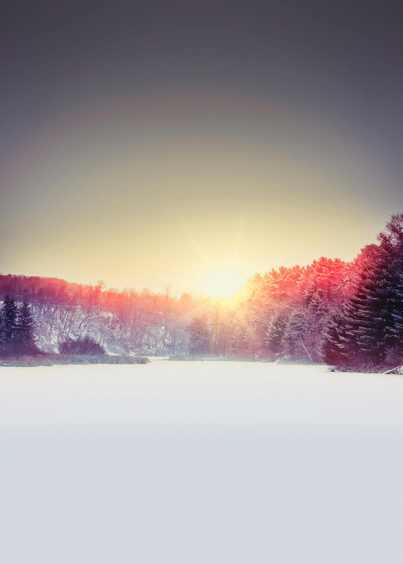 Free stock photo of android wallpaper, evening sun, frozen