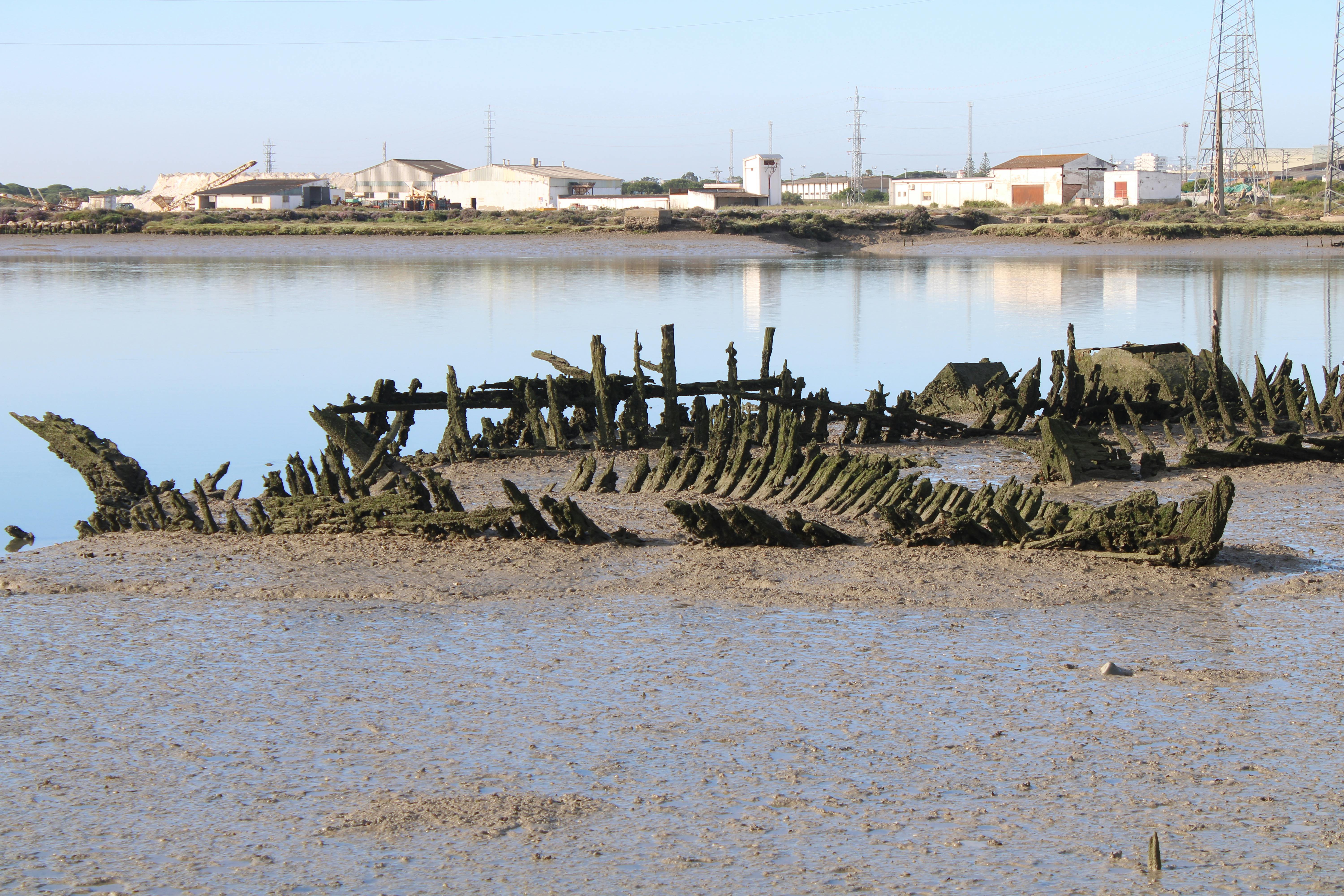 barcas antaño valiosas y que hoy se deshacen con el paso del tiempo