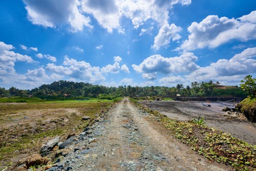 Kostenloses Stock Foto zu bäume, feldweg, leer