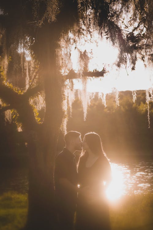 Couple Kissing under Wisteria Tree at Sunset