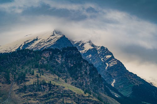 Foto stok gratis curam, gunung berselimut salju, hutan