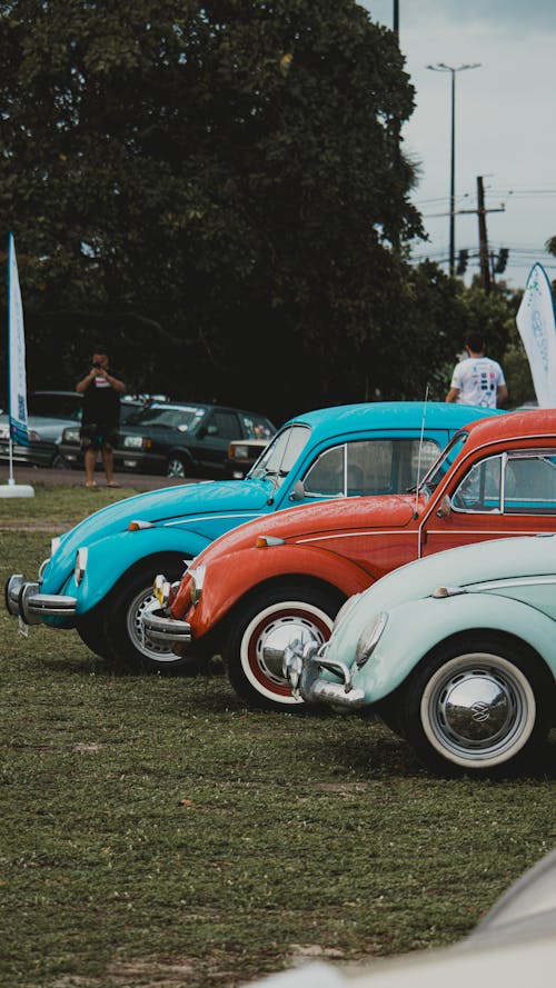 View of Vintage Cars Parked on the Grass at a Car Show 