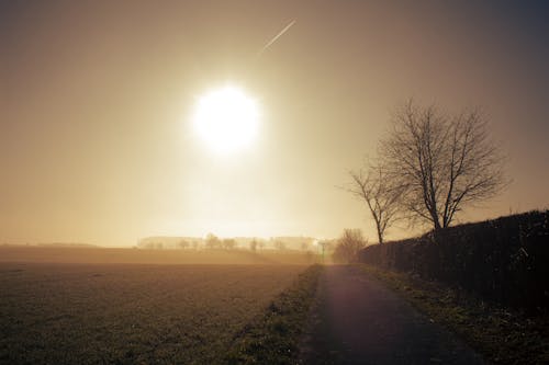 Sun Shining above a Rural Field 