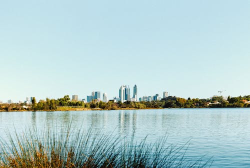 A lake with a city skyline in the background
