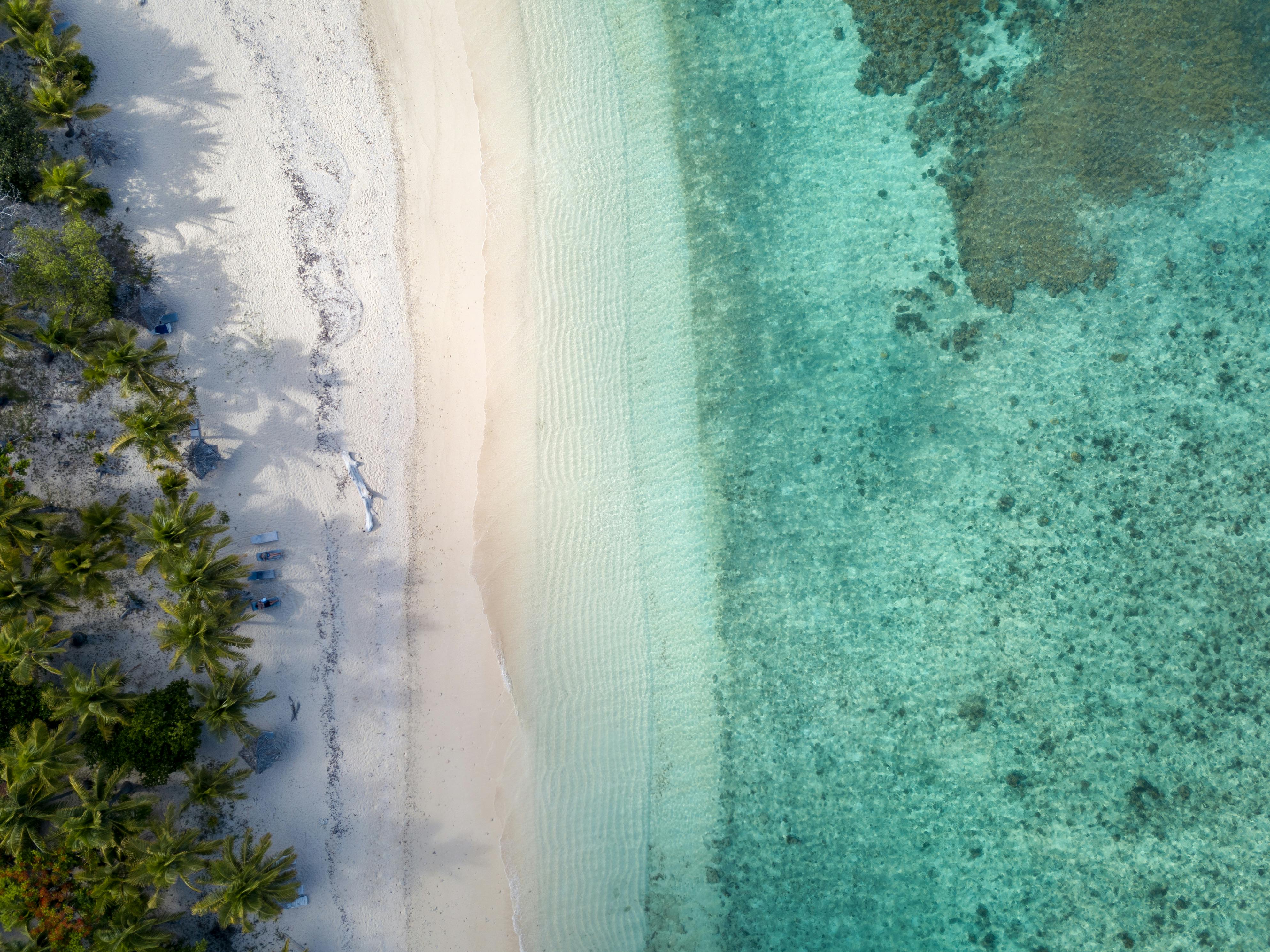 top view photo of seashore