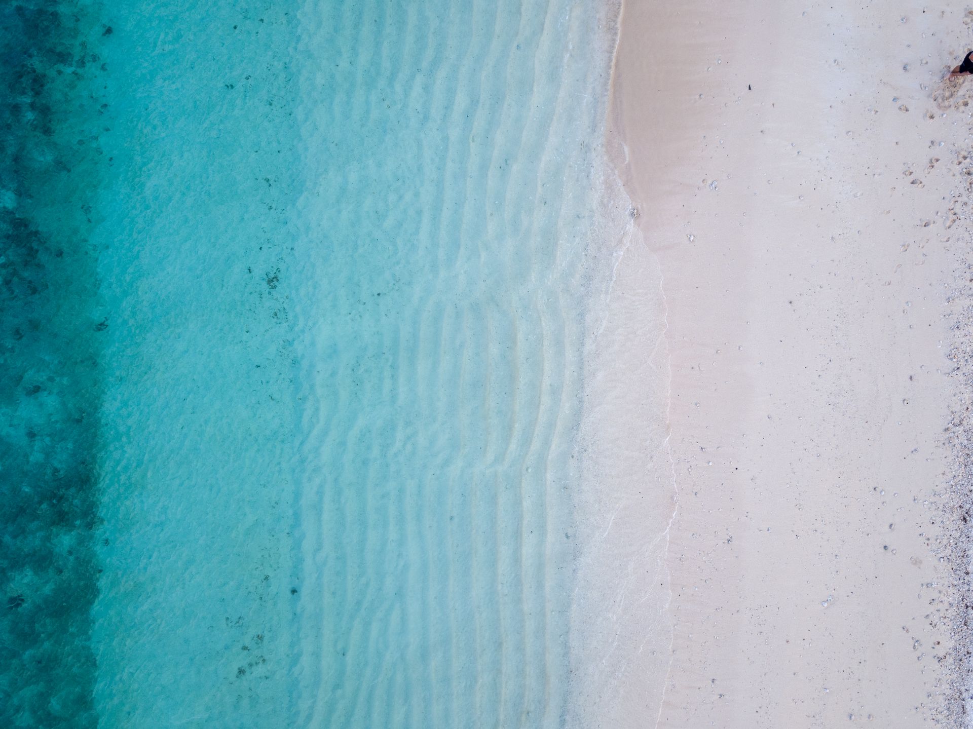Pacific