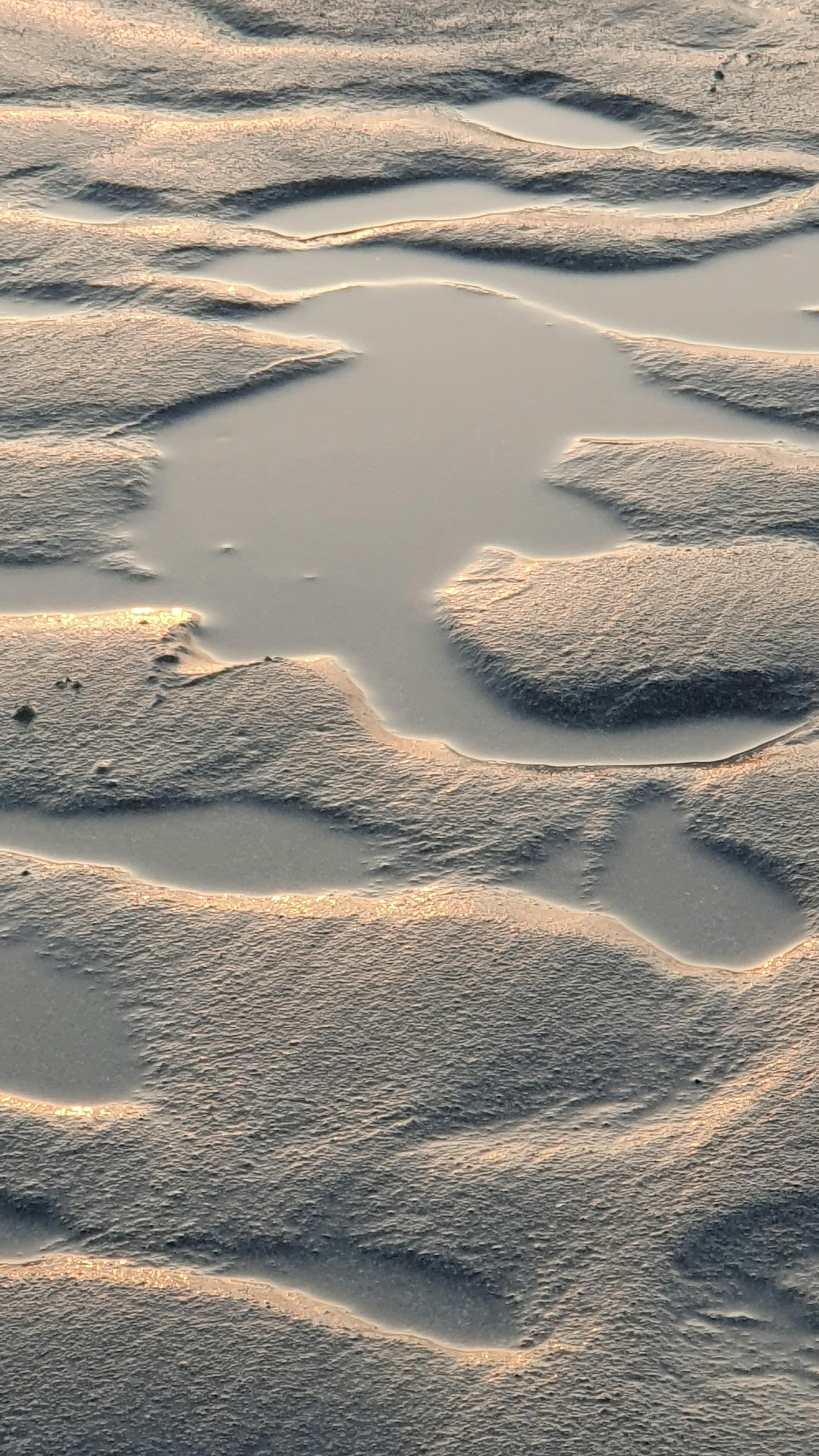 Photo of a Puddle in the Mud · Free Stock Photo