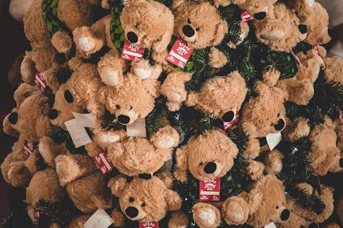 Close-up Photography of Brown Bear Plush Toy Lot