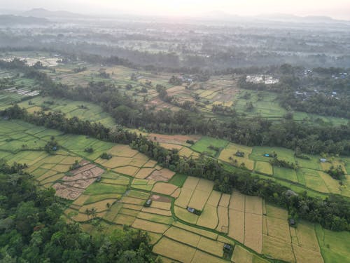 Aerial View of Green Fields at Foggy Sunrise