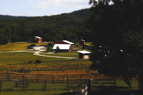 Free stock photo of animals, farm, fence Stock Photo