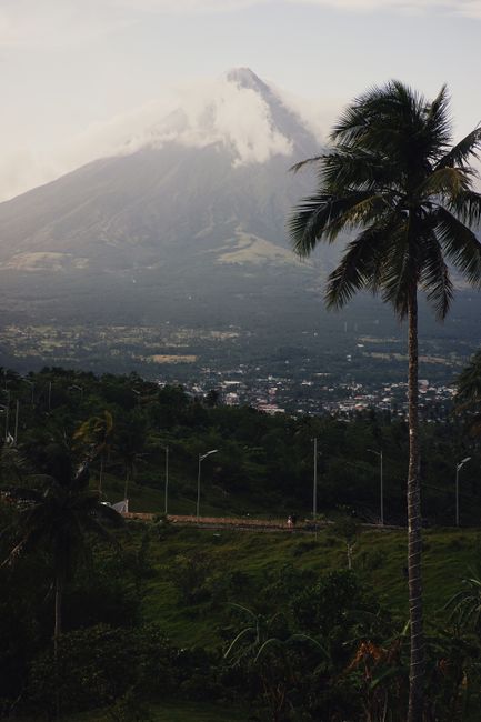 A stunning view of Mayon Volcano with palm trees and town at its base, capturing a tropical and serene landscape.