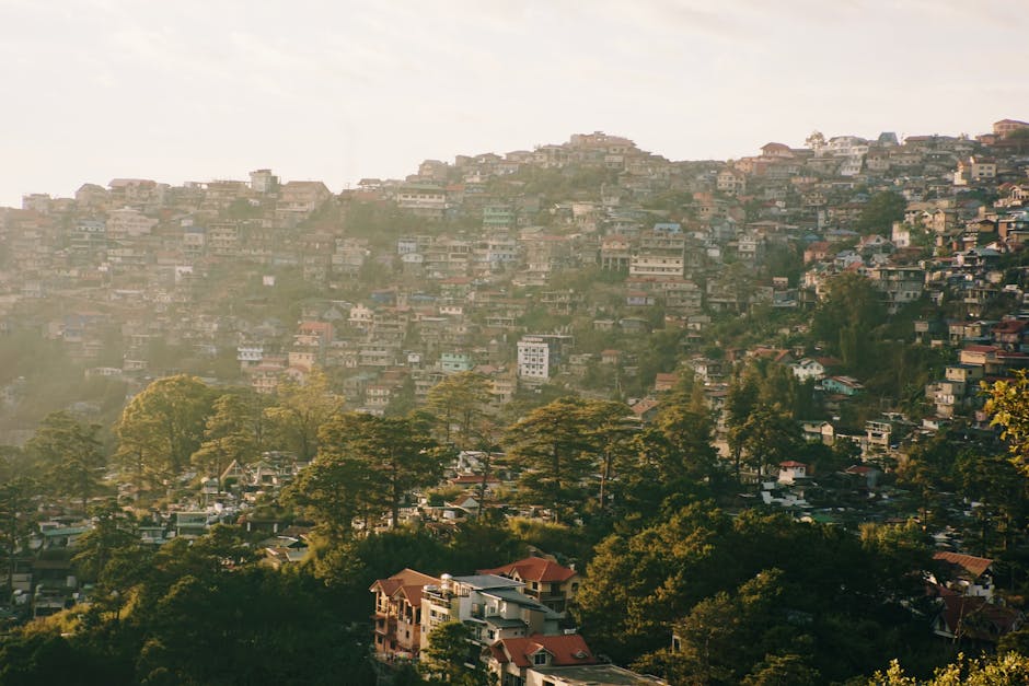 A scenic view of Shimla's densely packed hillside houses surrounded by lush greenery. in Visit