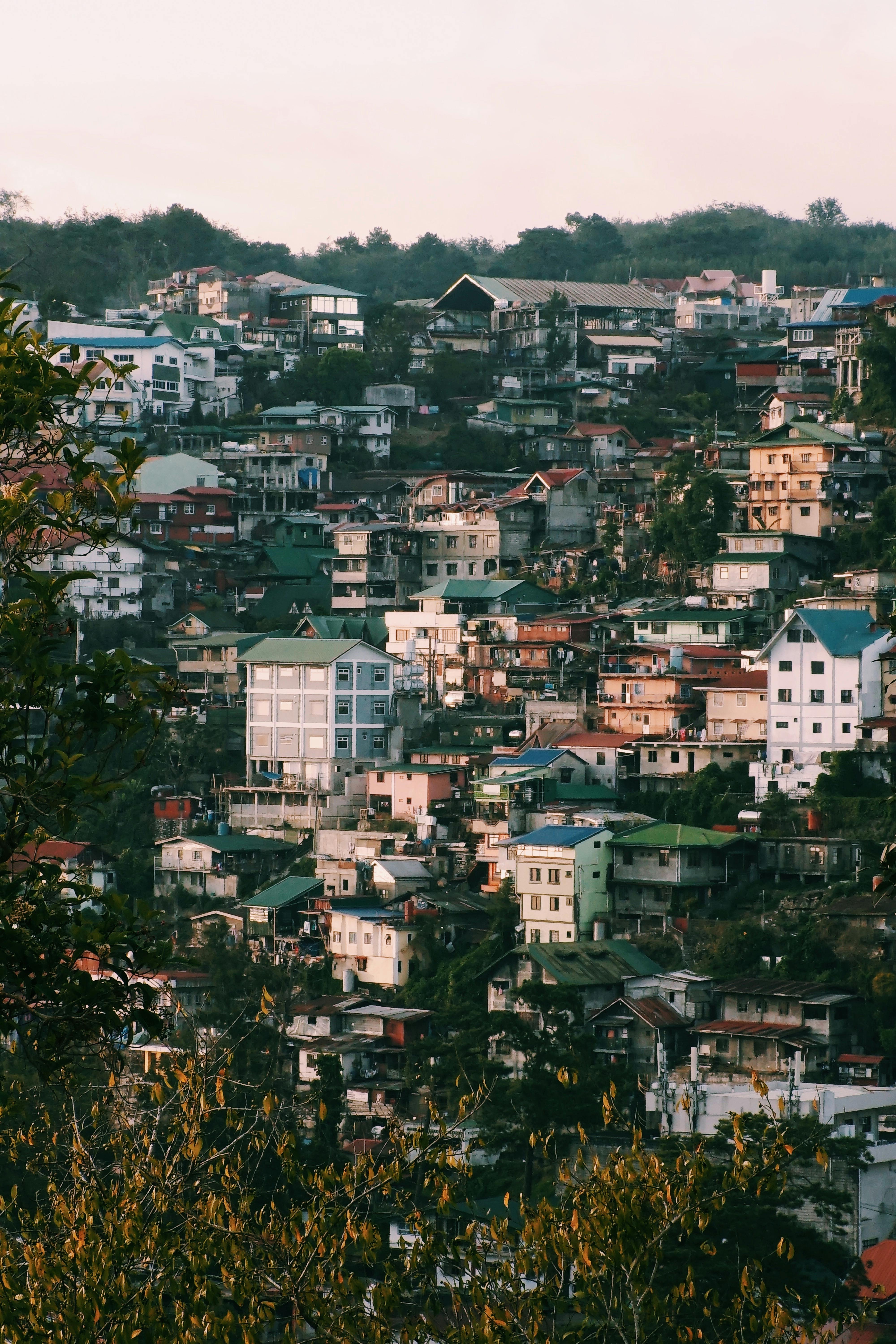 view points shimla | Best places to travel, Beautiful places to travel,  Road trip places