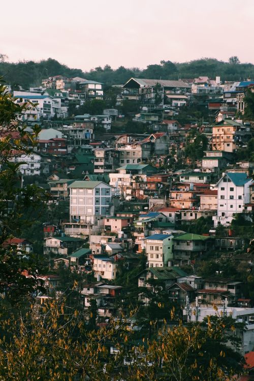Free Scenic view of densely packed houses on a hillside in Shimla, India during summer. Stock Photo