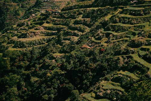 Gratis stockfoto met bewerkt land, groen, heuvel