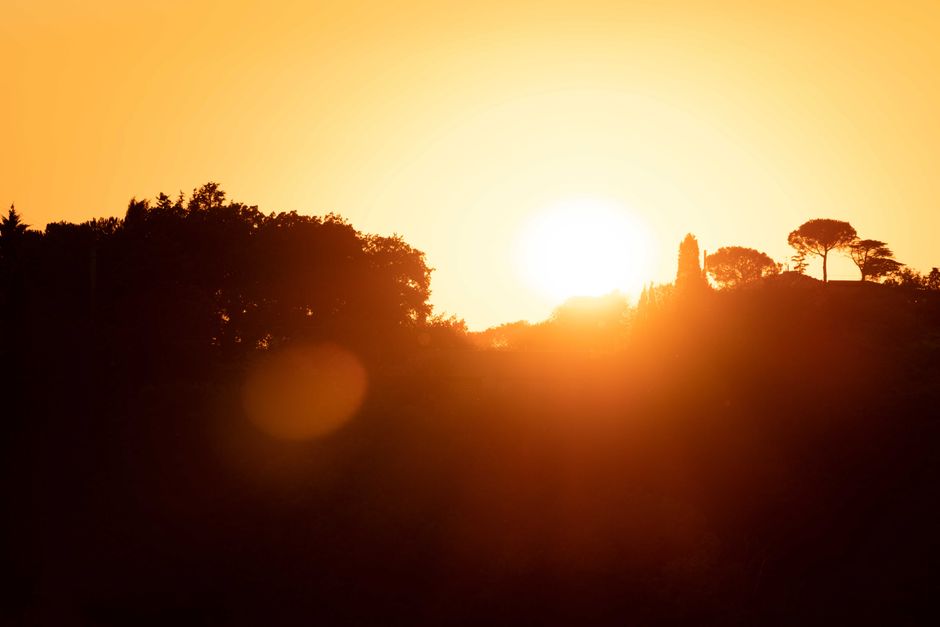 Captivating sunset silhouette with trees on the hill and an enchanting warm glow.