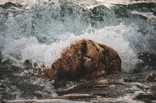Foto stok gratis air, batu besar, gelombang