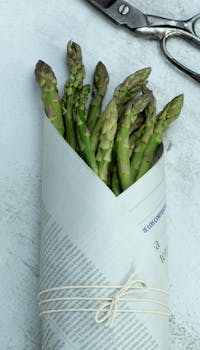 A bundle of fresh asparagus wrapped in newspaper, perfect for healthy cooking and sustainable living.