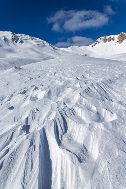 Fotos de stock gratuitas de árido, cubierto de nieve, frío