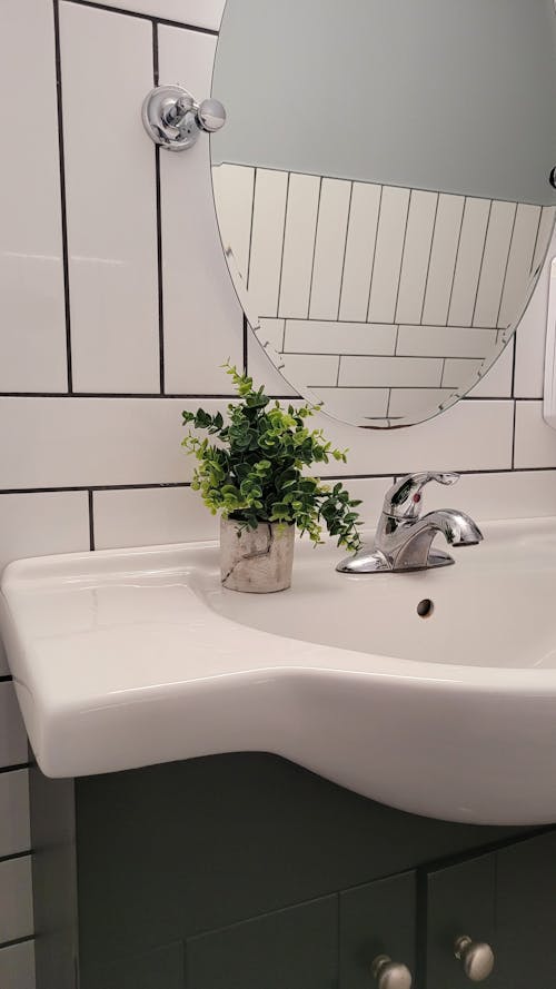 Potted Plant on a Bathroom Sink