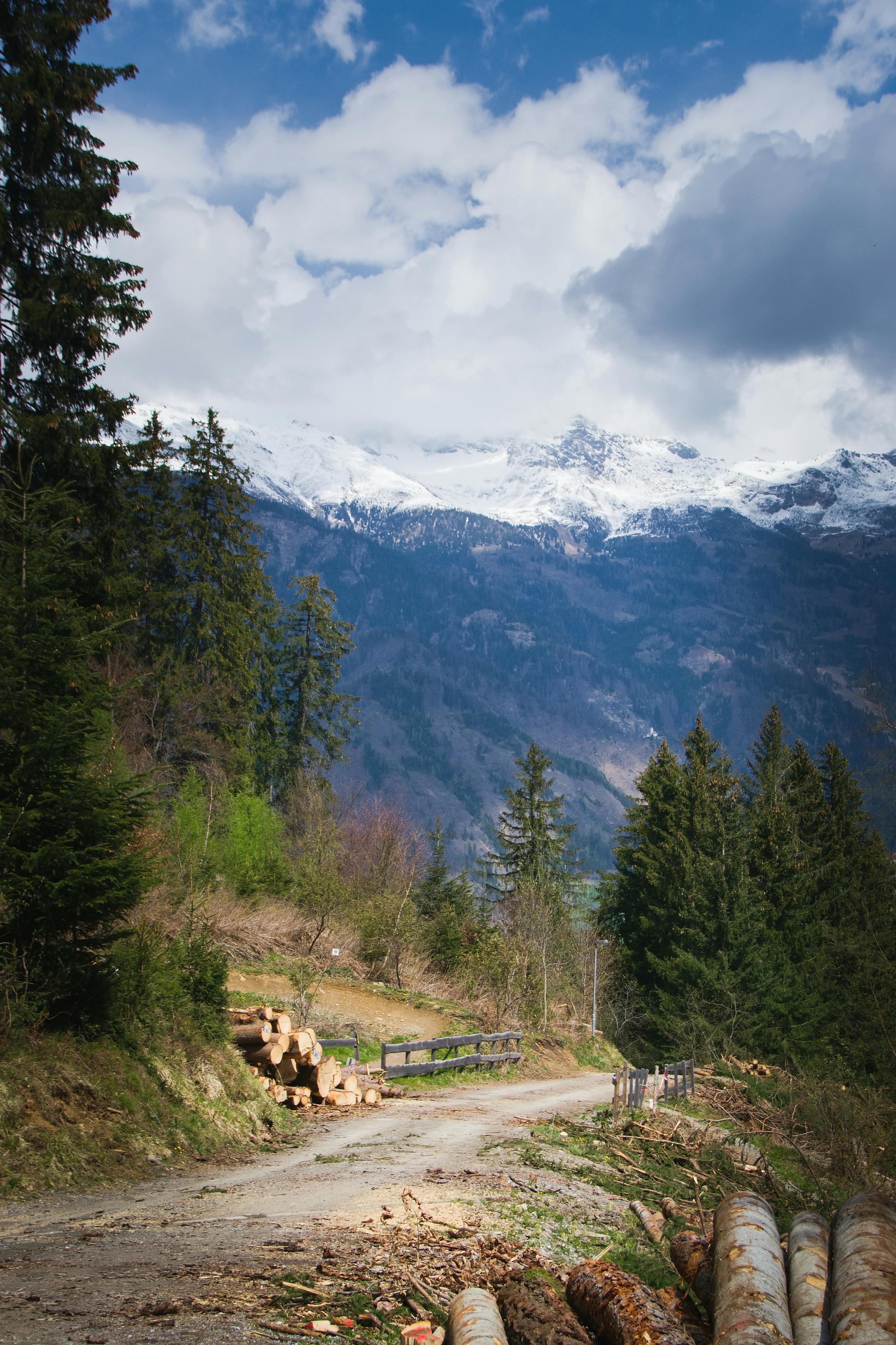 Stunning view of a mountain path surrounded by lush forests under a bright sky.