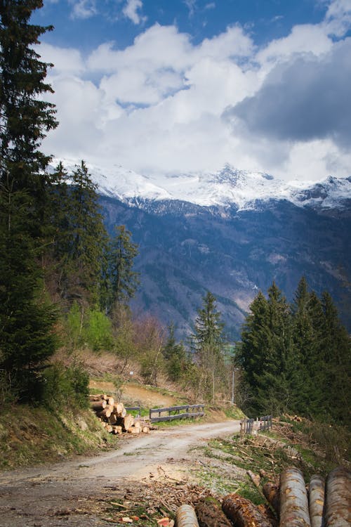 Footpath in a Mountain Valley