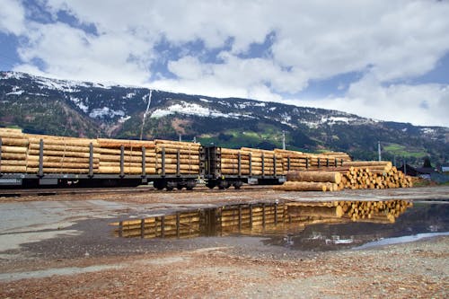 Freight Train Platforms Loaded with Timber at a Sawmill Station