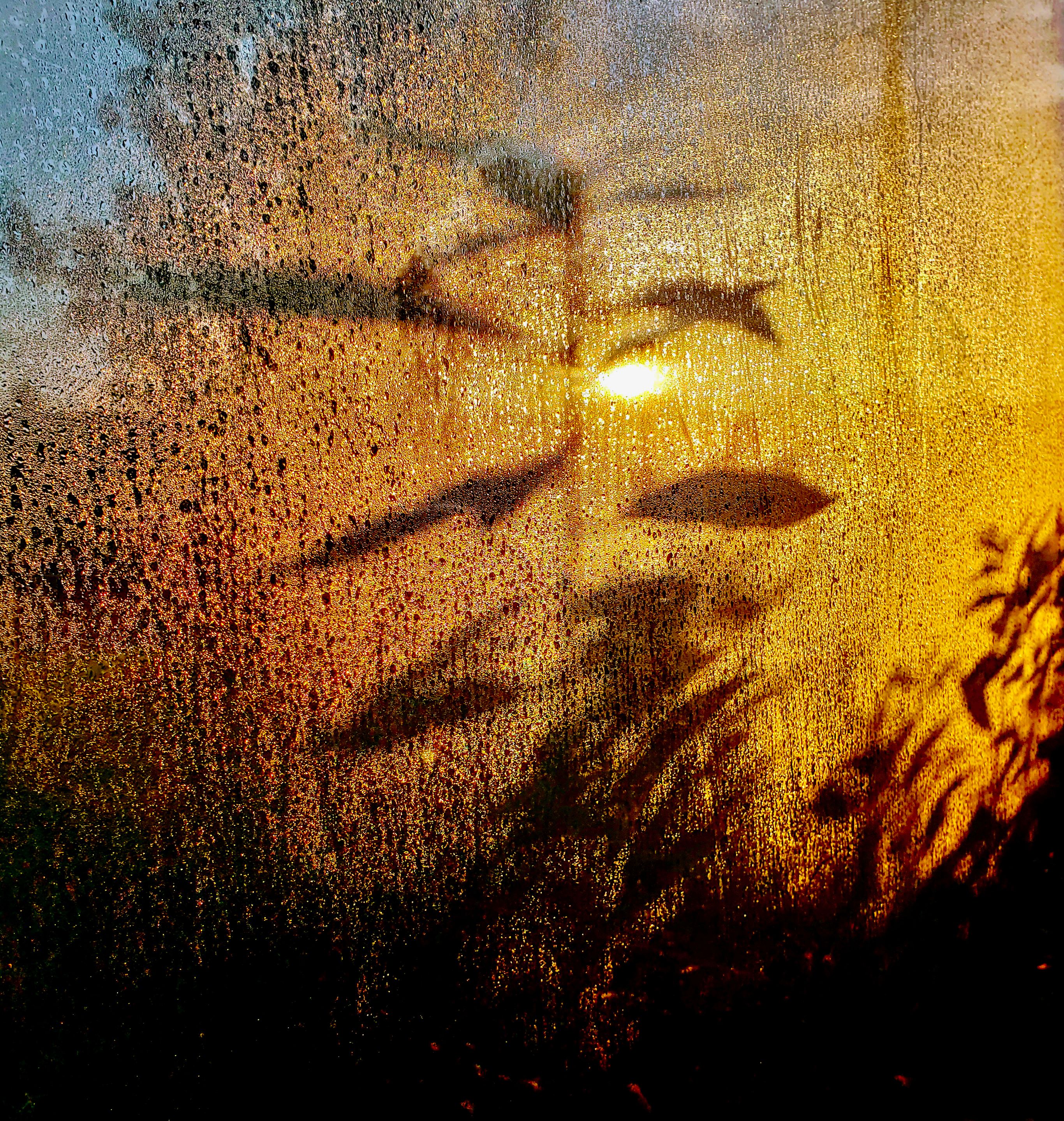 Shadow on the Glass · Free Stock Photo