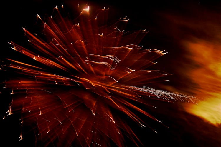 Abstract Fireworks Lights