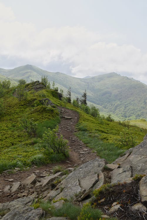 Trail on a Mountain 