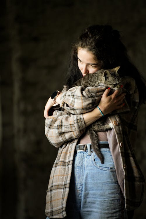 Kostenloses Stock Foto zu festhalten, haustier, katze