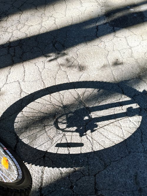 Bicycle Wheel Cating Shadow