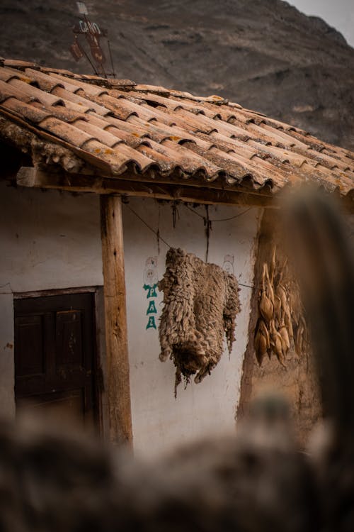 Fur Hanging by House Wall