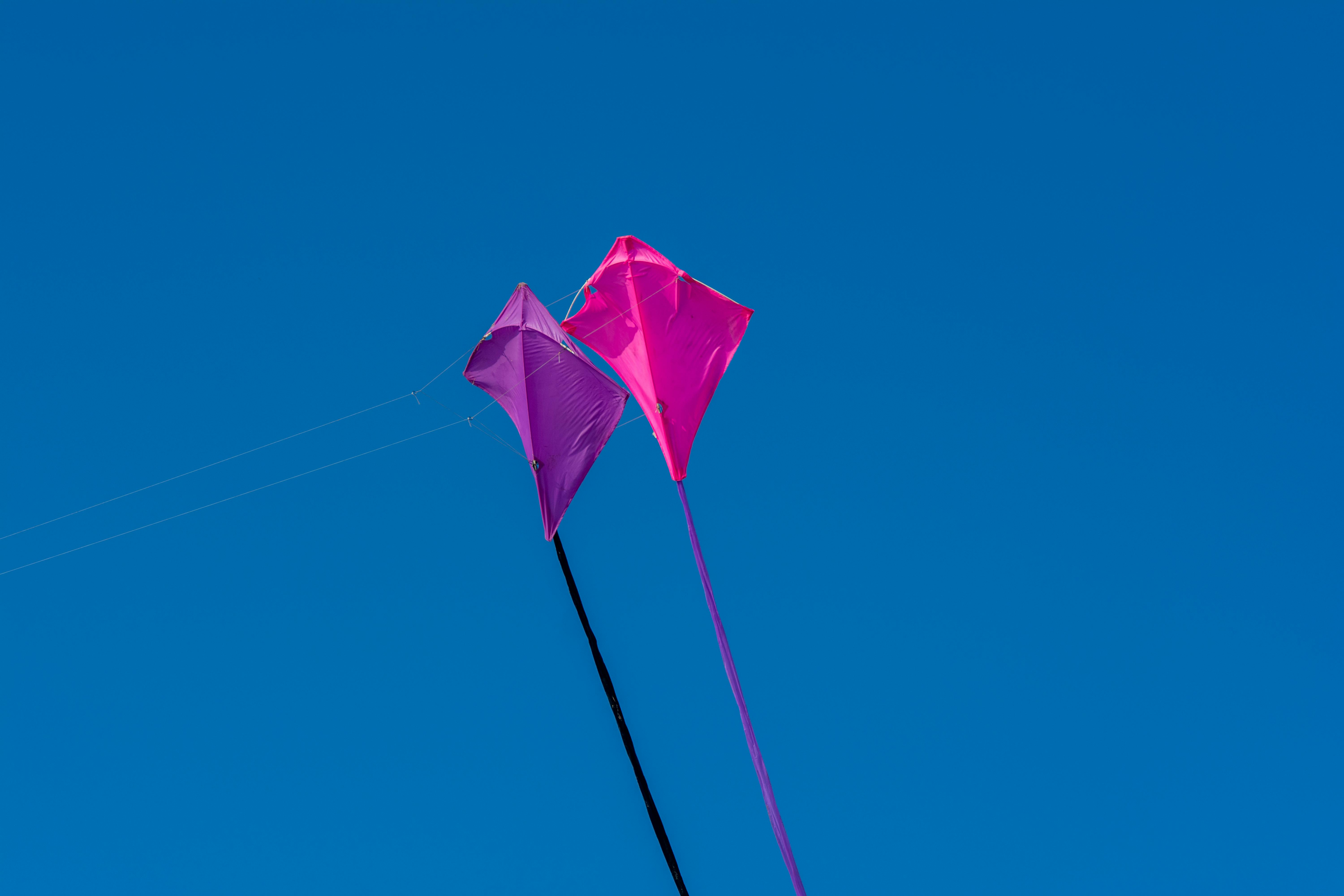 Pink and Purple Kites on the Background of Clear Blue Sky · Free Stock