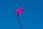 kite