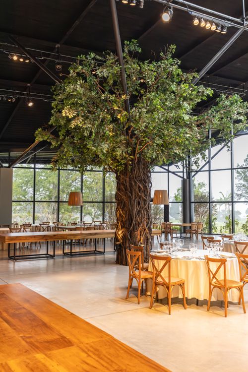 Decorative Indoor Tree Hiding Elements of the Building Structure · Free ...