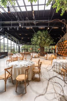 A luxurious banquet hall with rustic tables and a central indoor tree, ideal for events.