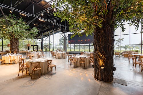 Fotos de stock gratuitas de árbol, auditorio, decorado