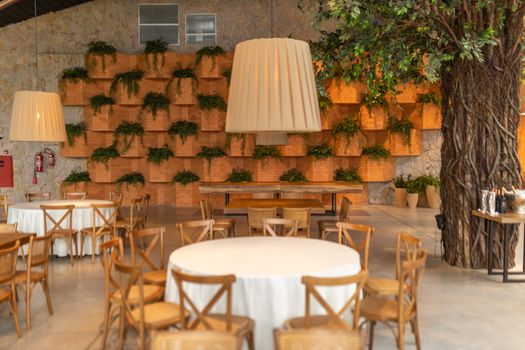Stylish restaurant interior featuring wooden furniture and lush green plant wall.