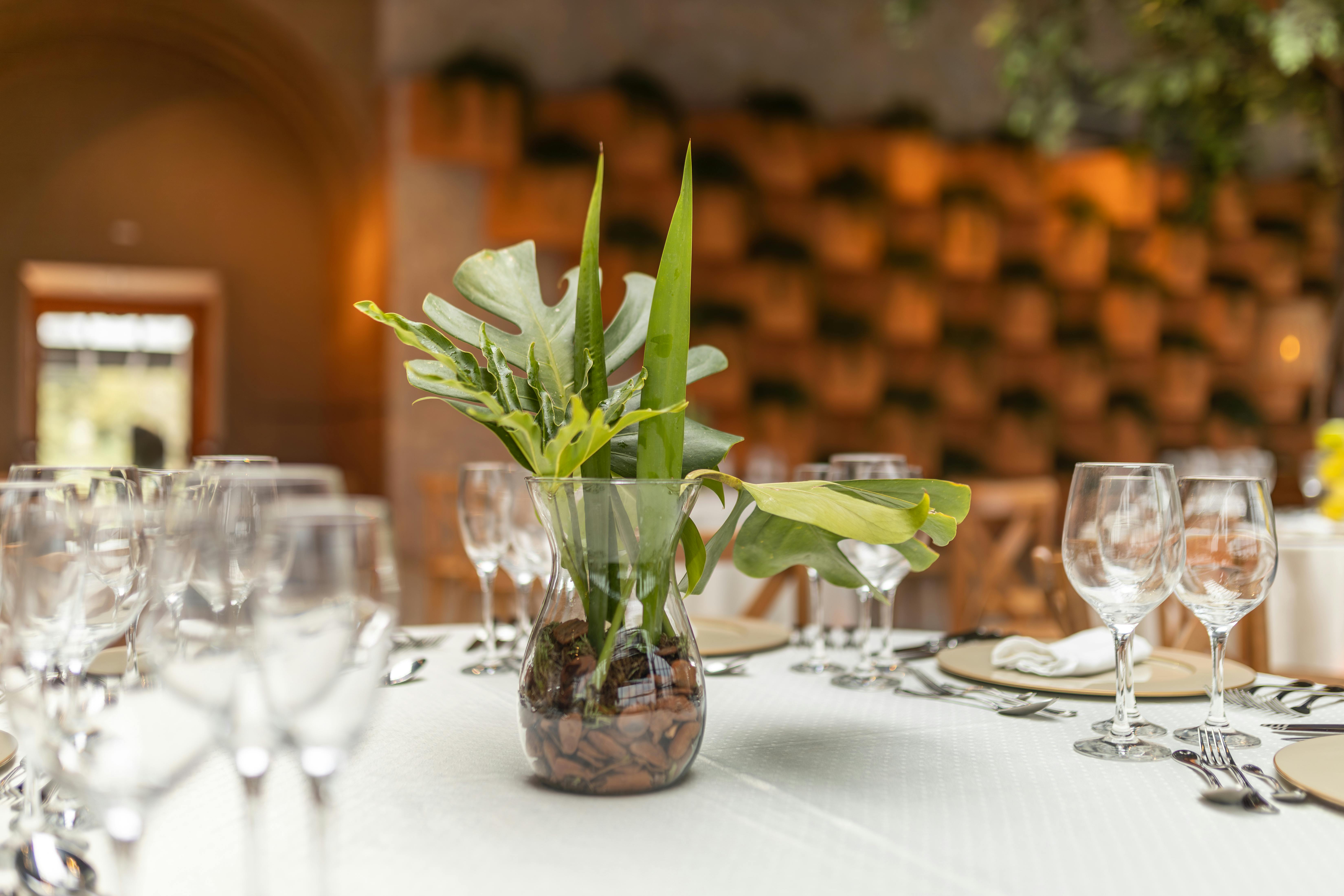 Unforgettable Dinner Party Ideas That Will Wow Your Guests