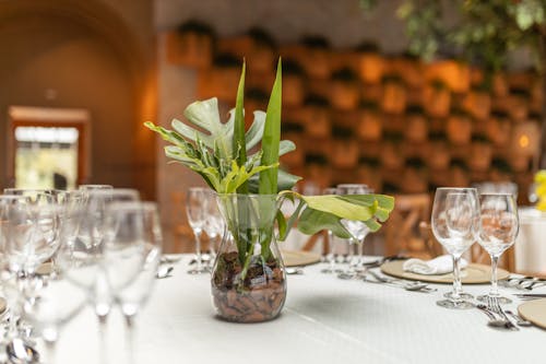 Free Composition of Green Leaves in a Glass Vase Stock Photo