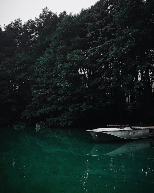 White Canoe Near Trees