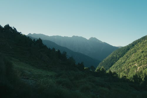 Foto stok gratis alam, bukit, hutan