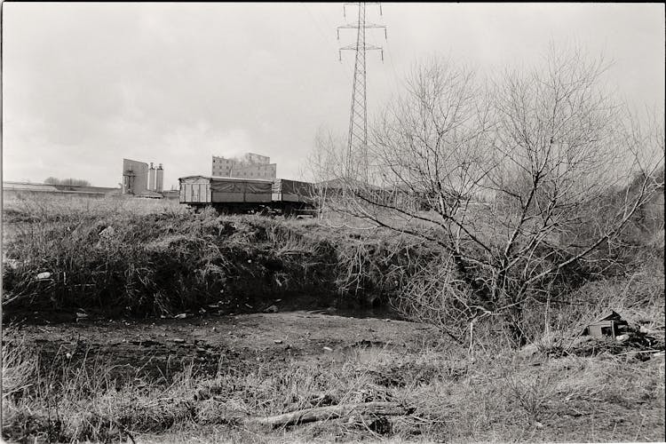 Trees Near Trailers In Black And White