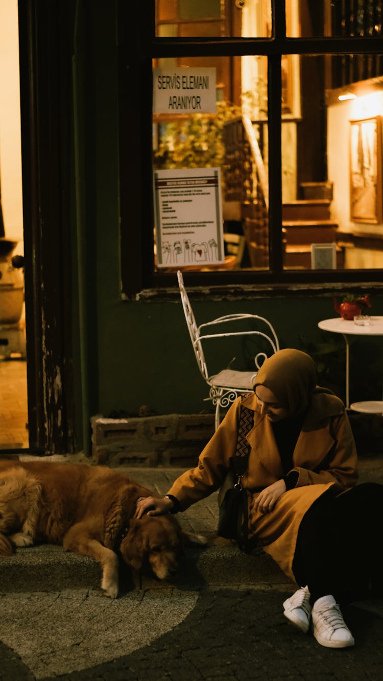 Woman Sitting And Patting Dog