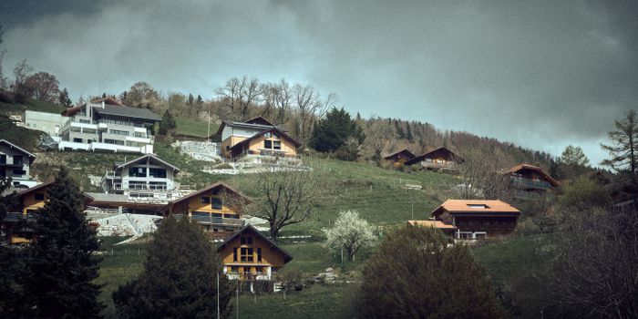 Charming chalets nestled on a hillside surrounded by lush greenery under a cloudy sky.