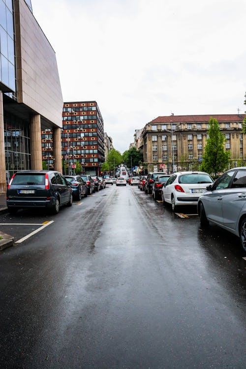 Cars by the Street in a City 