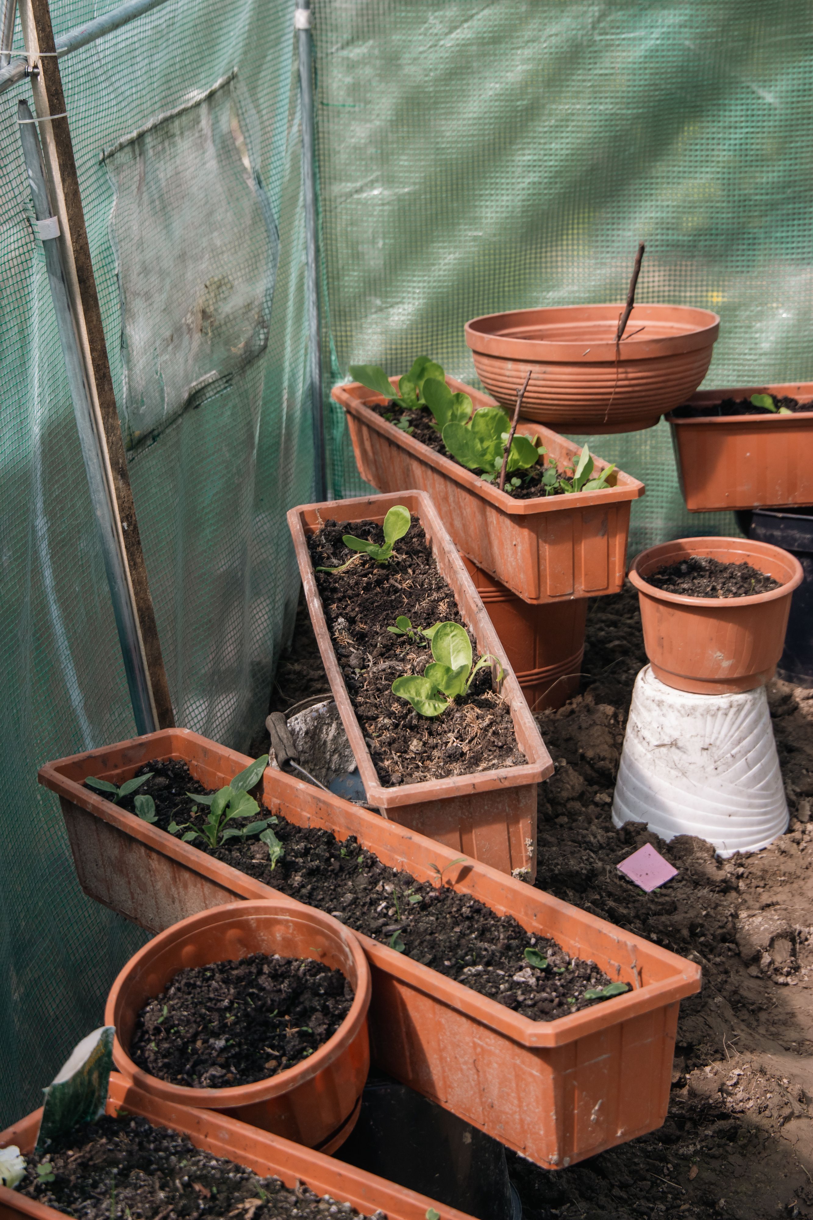 Créer un jardin dhiver : aménagement et entretien pour la saison froide 