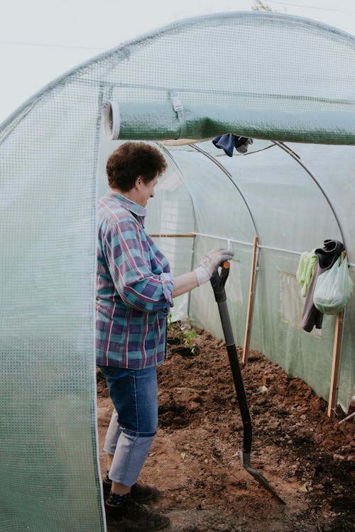 Foto d'estoc gratuïta de agricultura, carpa, dona