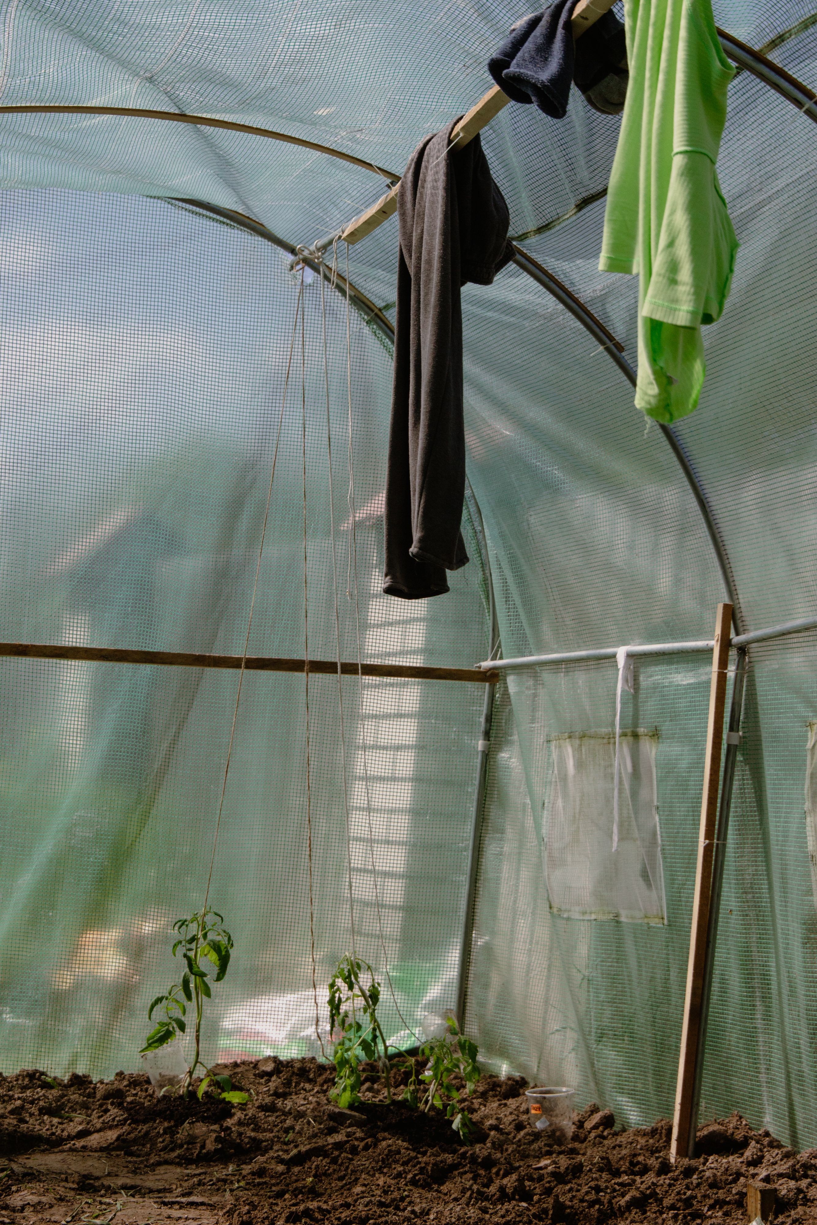 Clothes Hanging in a Garden Greenhouse · Free Stock Photo